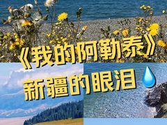 -赛里木湖风景名胜区