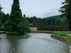 -武陵山森林公园