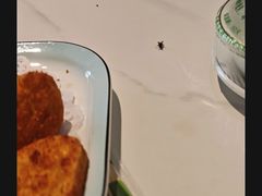 -褚小白·烧烤铜锅涮