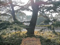 -青岛德国总督楼旧址博物馆