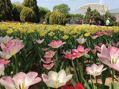-石家庄市植物园