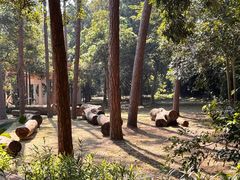 -南宁良凤江国家森林公园