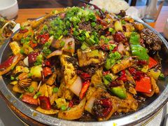 -老号尤兔头(幸福店)