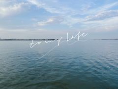 -瑶湖郊野森林公园