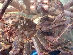 -蟹之国·精品蟹料理(极地店)