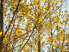 -于家石头村景区