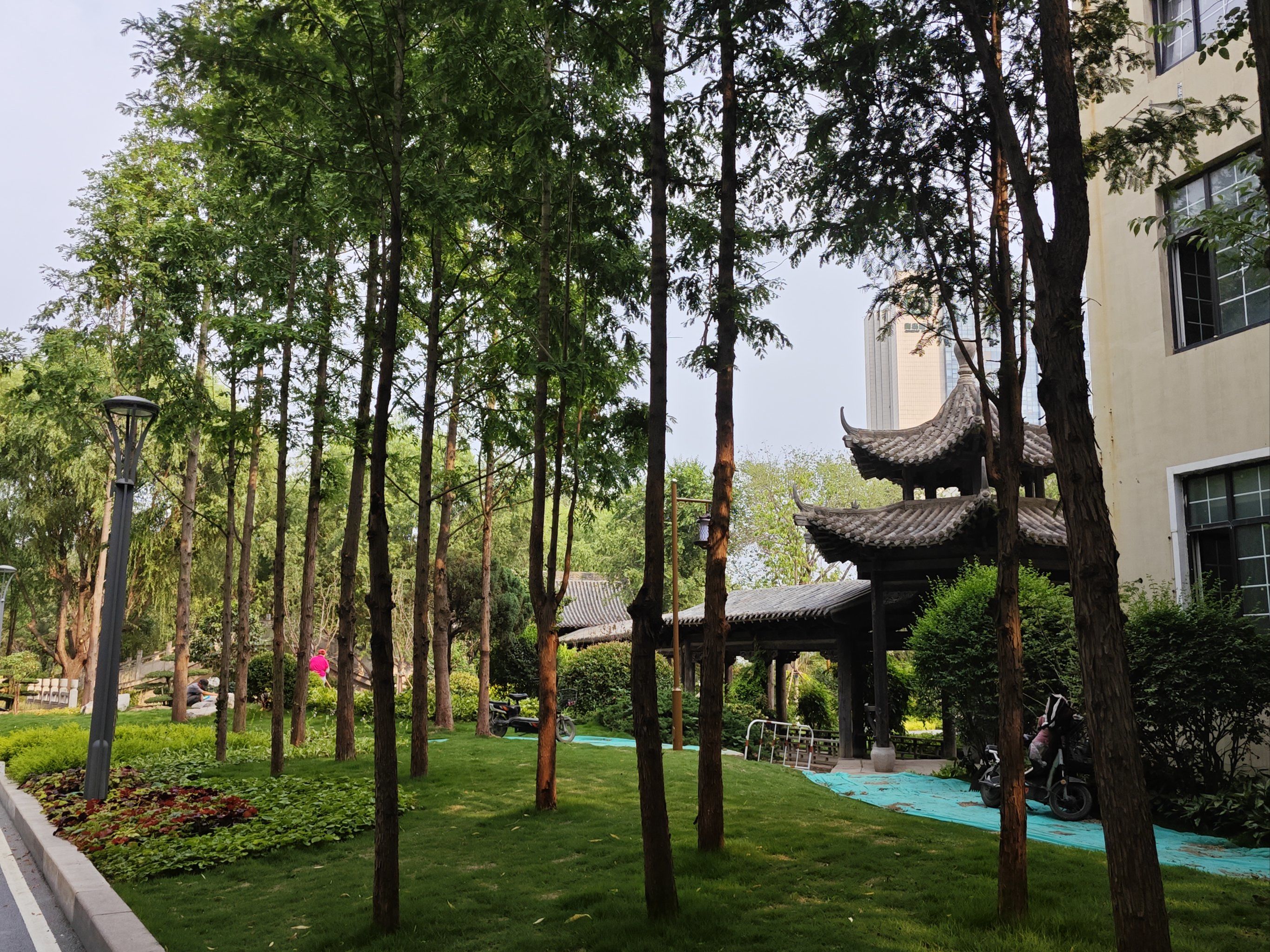 超适合遛娃的公园 张村河的新公园,遛娃好去处