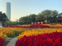 -厦门园林博览苑