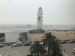-上海棕榈滩海景酒店