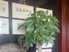 -殊德医馆