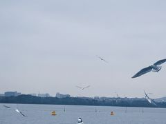 -蠡湖大桥公园