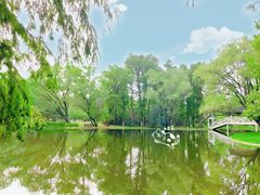 -上海共青森林公园