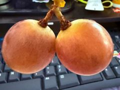 -龍歌自助小火锅(城阳万象汇店)