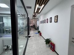 -新航道·雅思托福·Alevel AP·留学考研(光谷校区)