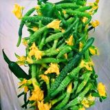                 难忘的     家乡菜