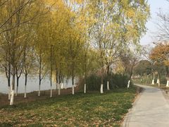-长广溪湿地公园
