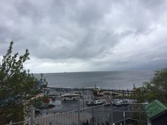-阿尔谢尼耶夫远东历史博物馆(阿尔谢尼耶夫滨海区店)