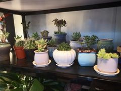 -万卉源鲜花店(百尚生活广场店)