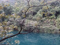 -鼎湖山风景区