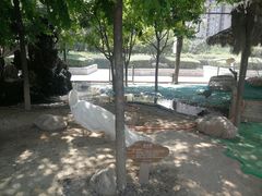 -陕西自然博物馆