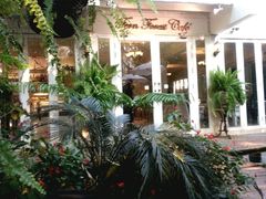 -Fern Forest Cafe