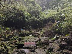 -海口火山口国家地质公园