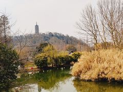 -焦山风景区