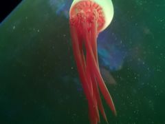 -鄂尔多斯野生动物园