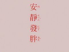 -邓记新一代糖油果子(四川煤管局供销公司职工宿舍店)