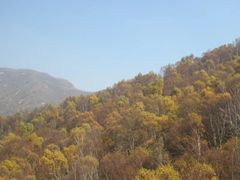 -驼梁风景区