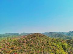 -贵州百里杜鹃风景名胜区