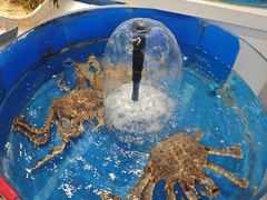 -北塘海鲜·天津菜(大光明桥旗舰店)