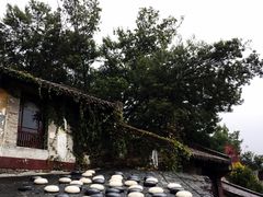 -天龙八部武侠城