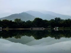 -国家植物园南园