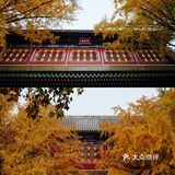 北京｜宝藏北海公园｜赏秋机位推荐