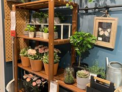 -宜家家居(哈尔滨商场店)