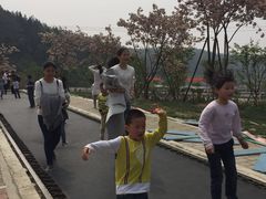 -绵阳盛世樱花悠乐谷