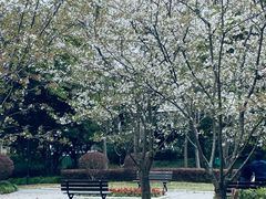 -徐家汇源景区-衡山公园