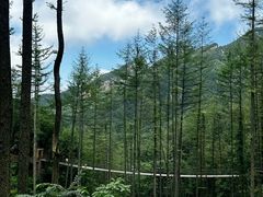 -龙峪湾国家森林公园
