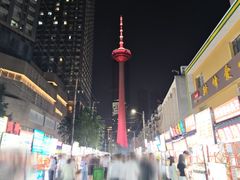 -辽宁电视塔