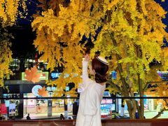 -奇芳阁·百年清真南京菜(夫子庙店)