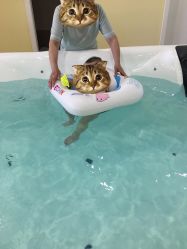 -爱乐婴童水育早教中心·儿童游泳中心(田园商业广场店)