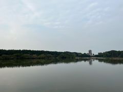 -大湾区中央湿地公园