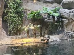 -上海海洋水族馆