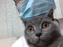 -lincat·猫舍(广州店)