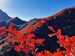 -水峪民俗村