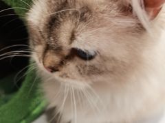 -宝大祥青少年儿童购物中心(南京东路店)