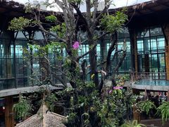 -The Ring Pavilion 魔幻森林