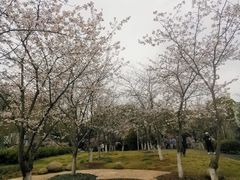 -堤角公园