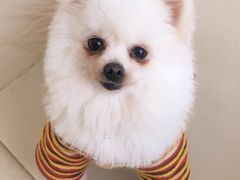 -怪兽屋·羊驼·猫咖·狗咖(俊华广场店)